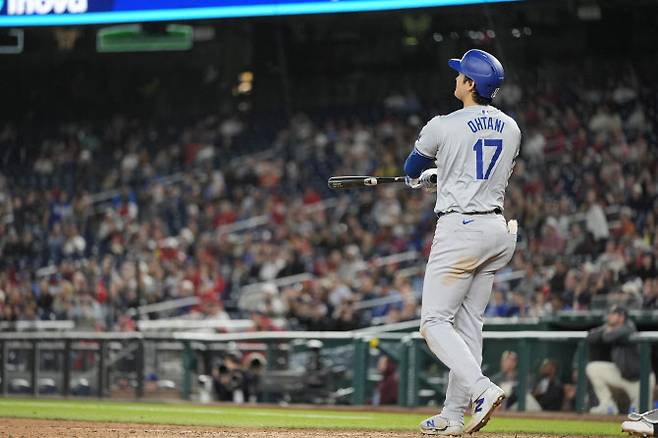 LA다저스 오타니 쇼헤이가 홈런을 친 뒤 자신의 타구를 바라보고 있다. 사진=AP PHOTO