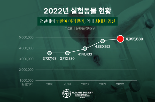 동물실험 수 추이. 한국 휴메인소사이어티인터내셔널 제공