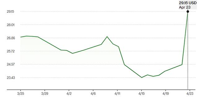 23일(현지시간) 기준 최근 1개월 간 미국 나스닥의 하시코프 주가 추이 /사진=블룸버그