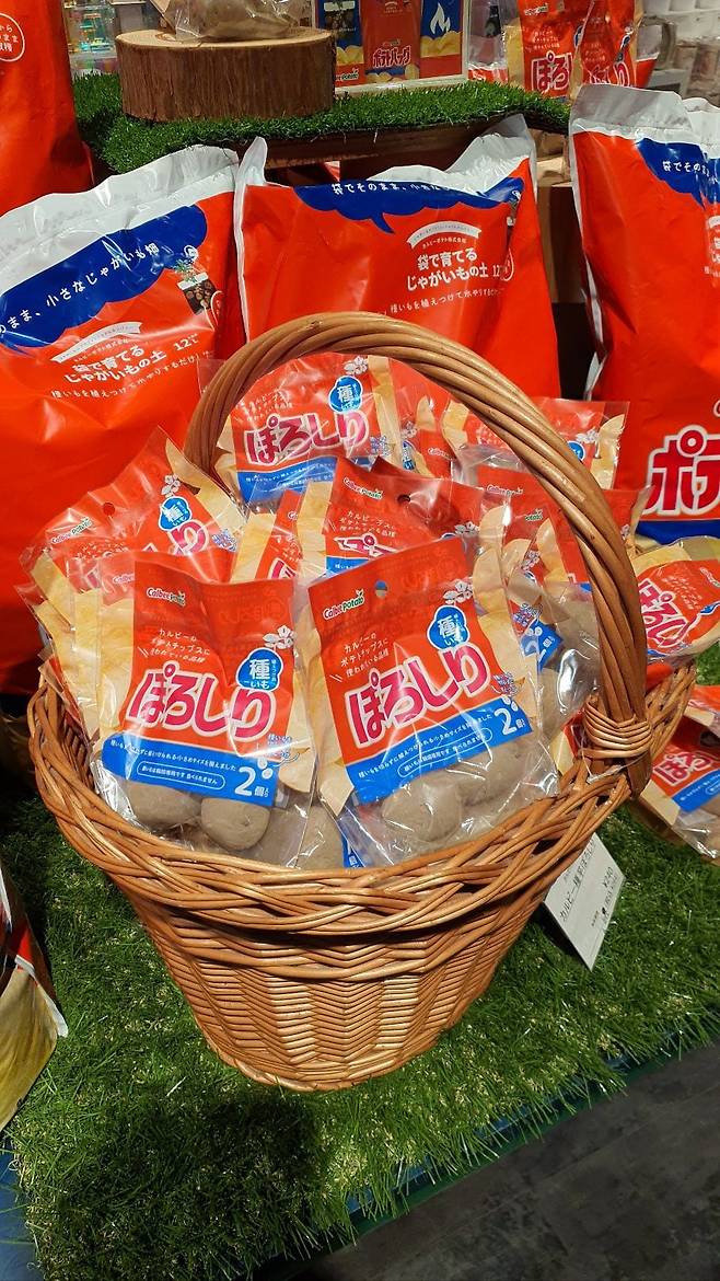 일본 식품 회사 '가루비'는 소비자들이 감자를 직접 길러볼 수 있는 제품을 출시했다. 바구니 안에는 가루비가 개발한 '포로시리' 품종 씨감자가 담겨있고, 뒤에 놓인 큰 봉지엔 흙이 들었다. /신현암 팩토리8 대표 제공