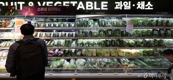 주요 선진 7개국 및 타이완에 비해 우리나라 과일·채소 가격이 올해 들어 가장 크게 올랐다는 조사 결과가 나왔다.  22일 서울 소재 유통매장에서 과일·채소가 판매되고 있다. 2024.04.22. /사진=뉴시스