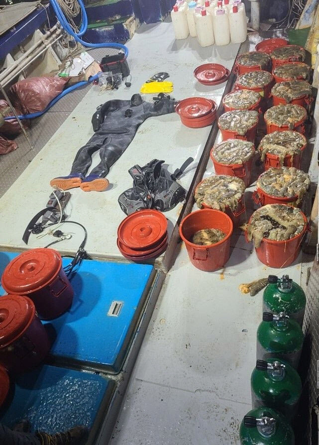 해경이 압수한 불법 조업 해삼과 잠수 장비. (사진=태안해경 제공/뉴시스)