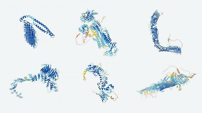 알파폴드가 해독한 여러 단백질의 3D 구조. 다양한 단백질 구조를 통해 생명 현상에 관여하는 단백질의 기능이 구현된다. /구글 딥마인드