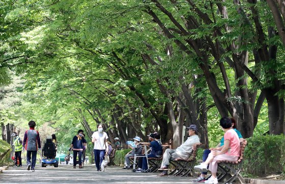 지난 2020년 여름 대구 달서구 월성공원 나무 그늘에서 시민들이 더위를 식히고 있다. 뉴스1