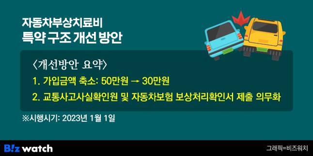 자동차부상치료비 특약 구조 개선방안/그래픽=비즈워치