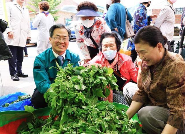 지난해 영양산나물축제장에서 오도창 영양군수가 산나물 판매장을 찿아 관광객들에게 산나물을 소개를 하고있다.