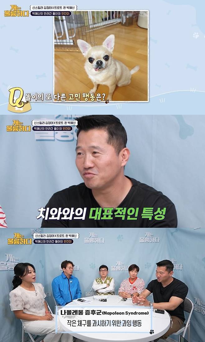 KBS 2TV ‘개는 훌륭하다’