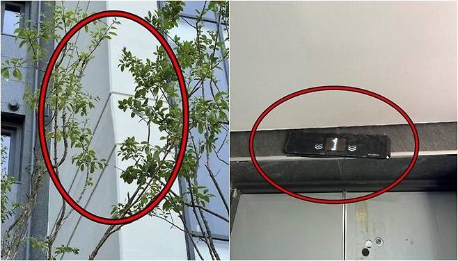 /사진=보배드림