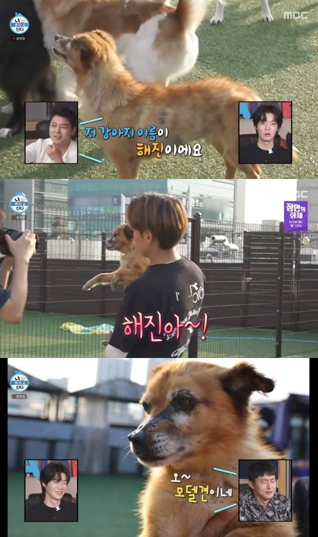 MBC ‘나 혼자 산다’ 캡처