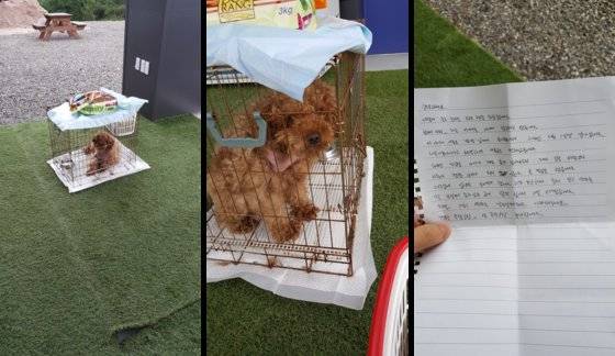 CCTV 감시 문제에 대해 직원들의 불만이 고조되던 2017년 8월16일 남양주 덕소 사무실 현관에 푸들을 유기한 일이 있었다고 한다. 직원들은 내부 CCTV는 설치해 작동하는데, 도난과 외부인 침입을 확인해야 하는 현관 CCTV는 정작 사각지대가 많았다고 주장한다. 사진 제보자