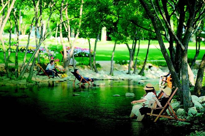 전남 순천시는 여름철을 맞아 순천만국가정원에 개울길 광장 등 시원한 정원의 매력을 느낄 공간들을 운영할 계획이다. 순천시 제공