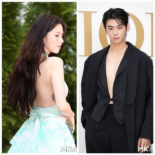 서울 성수동에서 열린 명품 브랜드 행사에 국내외 최고의 스타들이 참석해 화려한 의상과 매력을 과시하며 눈길을 끌었다. 사진=천정환 기자