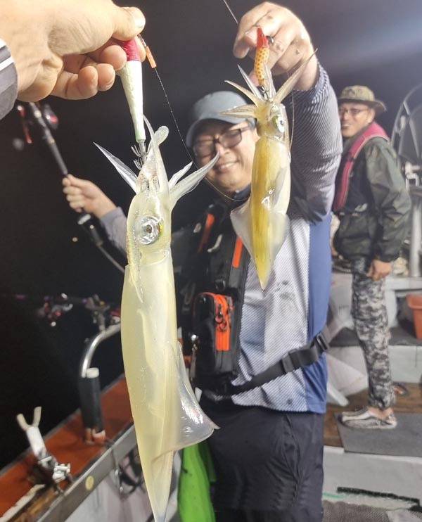 최고의 조황을 보인 부산권 한치 낚시.