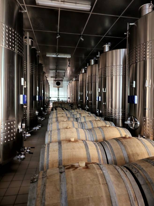 발효용 탱크와 오크. 최현태 기자