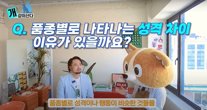 심용희 수의사가 유튜브 채널 '개만족'에 출연해 반려견 품종별 특징과 유래 등을 설명했다. (개만족 유튜브 갈무리) ⓒ 뉴스1