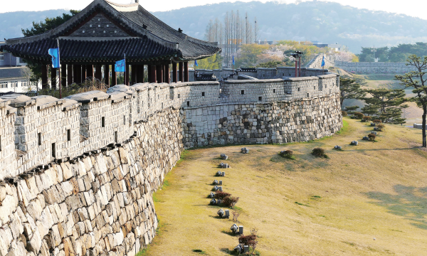 동장대에서 돌출된 지형은 규모가 큰 자연 지형의 자성치다. 이강웅 고건축전문가 제공