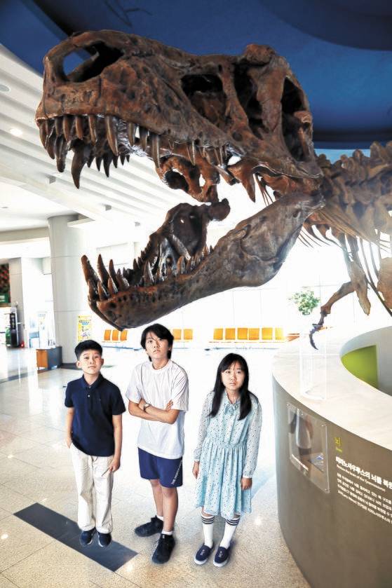 길이 13m, 골반 높이 4.5m, 무게 8870kg으로 세계 최대 티라노사우루스로 인정받은 ‘스코티’를 살펴보는 소중 학생기자단.