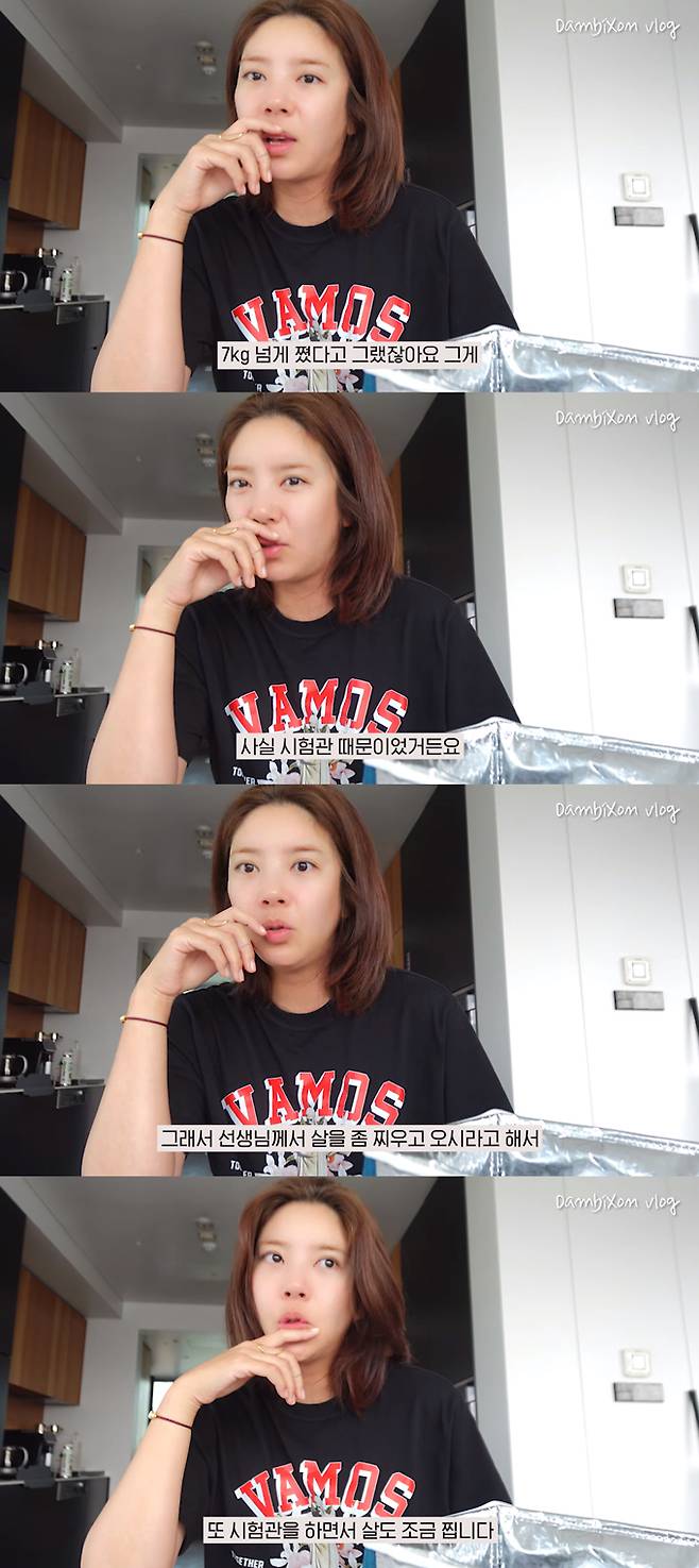 /사진=유튜브 채널 '담비손' 영상