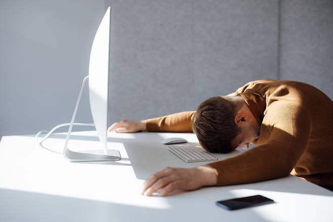 베리류 안에 많은 레스베라트롤은 미토콘드리아의 기능을 활성화한다./사진=클립아트코리아