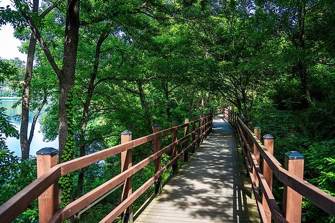 무장애 덱 길을 따라서 대청호오백리길을 걸어요
