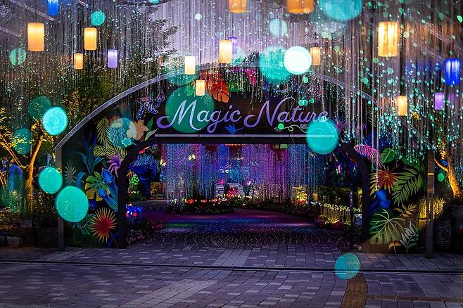 12개의 테마 공간으로 이뤄진 나이트 유니버스