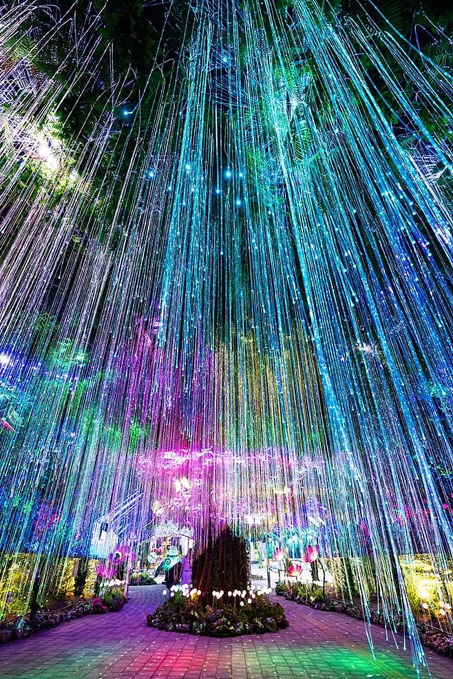 오월드 나이트 유니버스, 별빛이 내린다