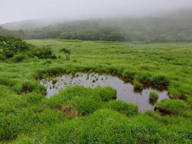 ▲ 인제 대왕산 용늪