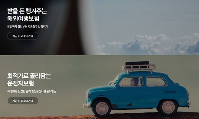 사진=카카오페이 손해보험 홈페이지 캡처