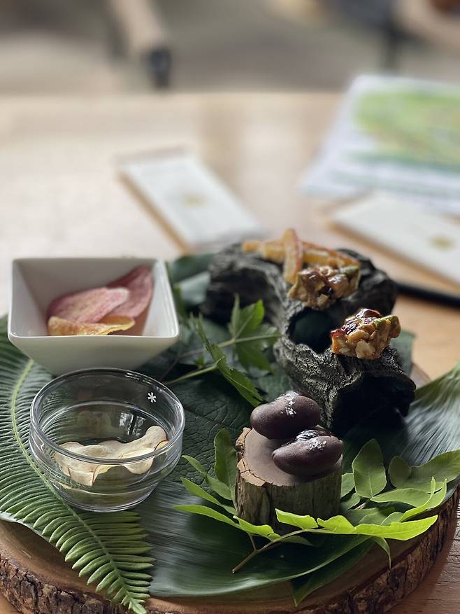 IMG_0890.jpeg 일본 나가노 하쿠바 기타오네고원 스노우피크 필드스위트 캠핑