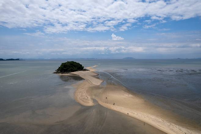 (메인 사진) 인천 옹진군 영흥면 목섬은 조수를 따라 하루 두 번 선재도로 향하는 길이 열린다. 2024년 7월15일 낮 물이 빠지면서 드러난 바닷길을 걸어 사람들이 섬으로 들어가고 있다.