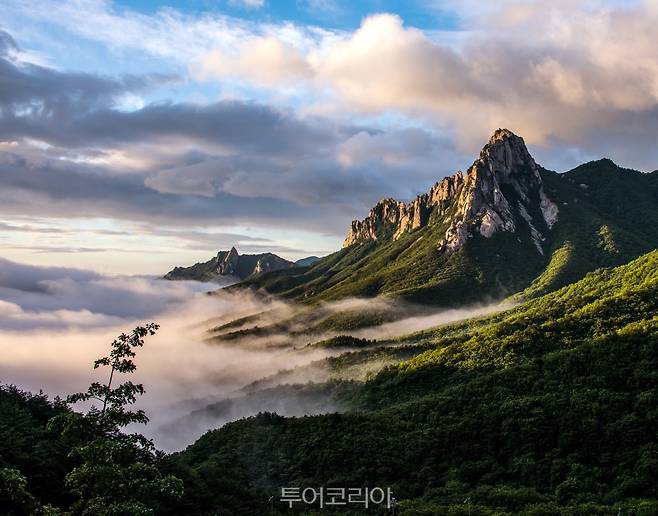 울산바위 운해 /사진-속초시