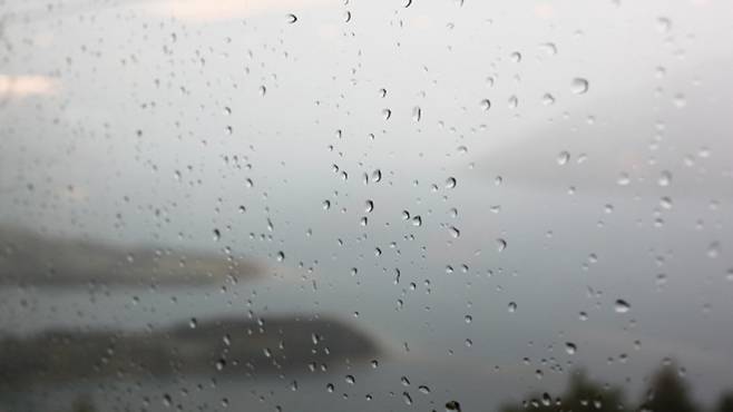 자료사진 제공: 연합뉴스