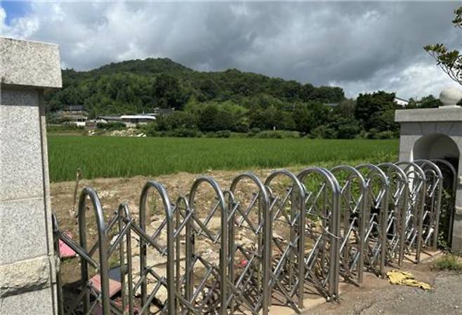 논으로 둔갑한 폐교 운동장. 연합뉴스
