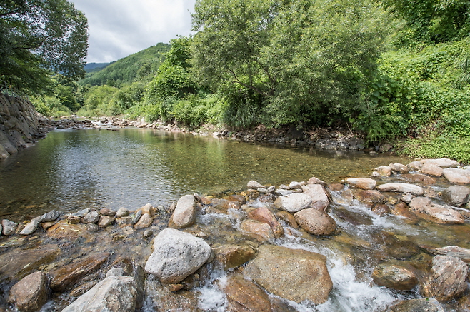계곡과 숲길 산책을 두루 즐길 수 있는 영동 물한계곡 사진제공|지엔씨이십일