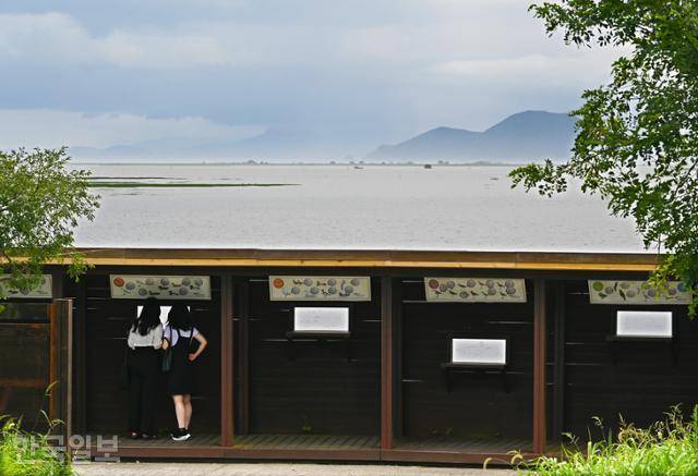 을숙도 탐조대 너머로 낙동강 하구 습지가 시원하게 펼쳐진다.