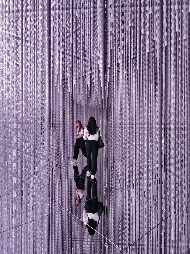 팀랩 슈퍼네이처.