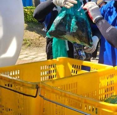 정남진 장흥 물축제 '황금 물고기(대왕 장어)를 잡아라' 프로그램 관계자들이 그물에 담긴 물고기를 옮기고 있다. ⓒ독자 제공