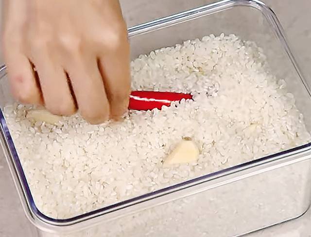 쌀을 밀폐용기에 보관할 때 고추와 마늘을 넣으면 쌀벌레가 생기는 것을 막을 수 있다. 유튜브 ‘미소곡간’ 캡처