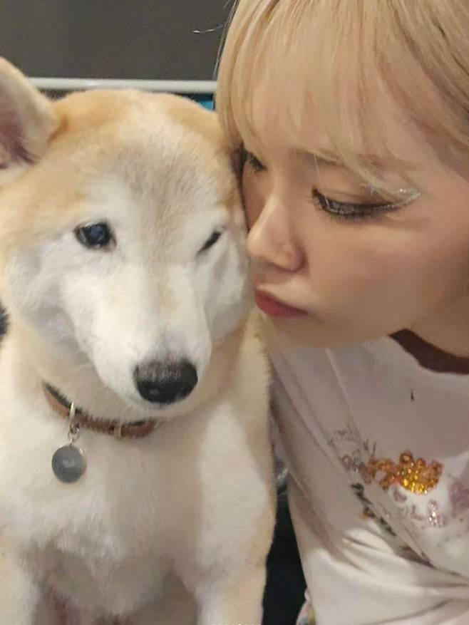 김채원 소셜미디어