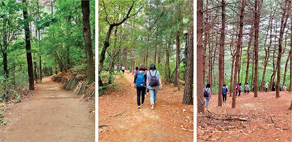 맨발걷기 효능 검증을 위해 숲길을 맨발로 걷고 있다. 사진 '숲길 맨발걷기의 효과 연구'