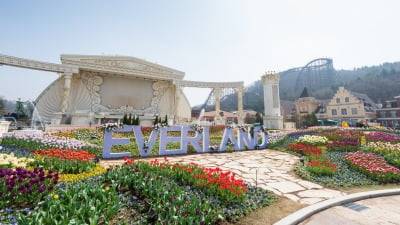 에버랜드 이미지