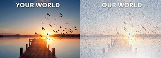 건강한 사람의 시야(왼쪽)와 비주얼 스노우 증후군 환자의 시야(오른쪽)./사진=Visual Snow Initiative