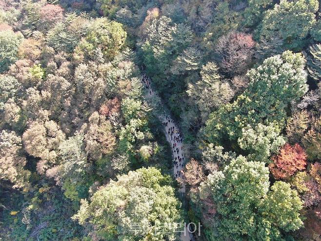 지리산 회남재 숲길 걷기/사진-하동군