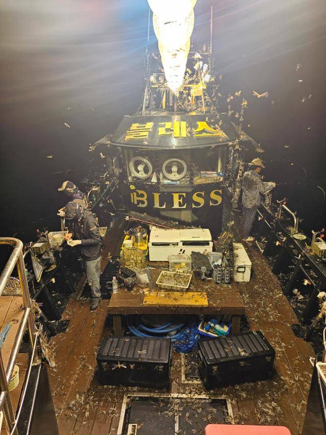 지난 8일 자정쯤 제주 제주시 김녕 앞바다에서 선상 낚시를 하던 블레스호에 잠자리 수만마리가 날아들었다. 제주블레스호 제공