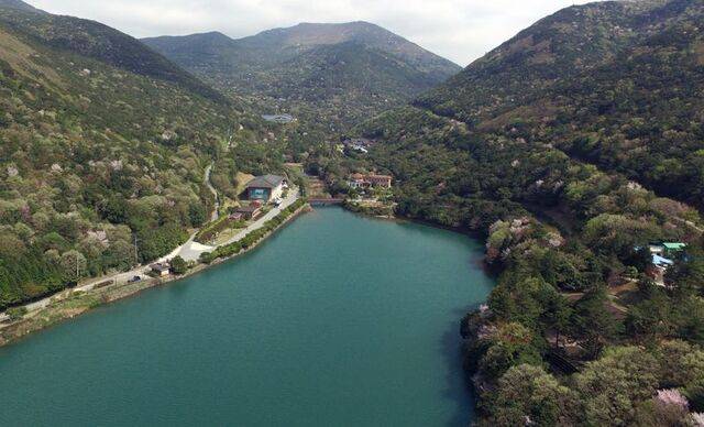 전남도산림연구원 완도수목원 전경. 완도수목원