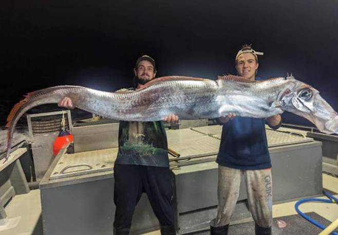 호주 바다서 잡힌 거대 산갈치. /페이스북