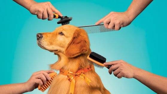 패션·화장품 업체들도 반려동물 시장에 눈독을 들이고 있다. X(옛 트위터)