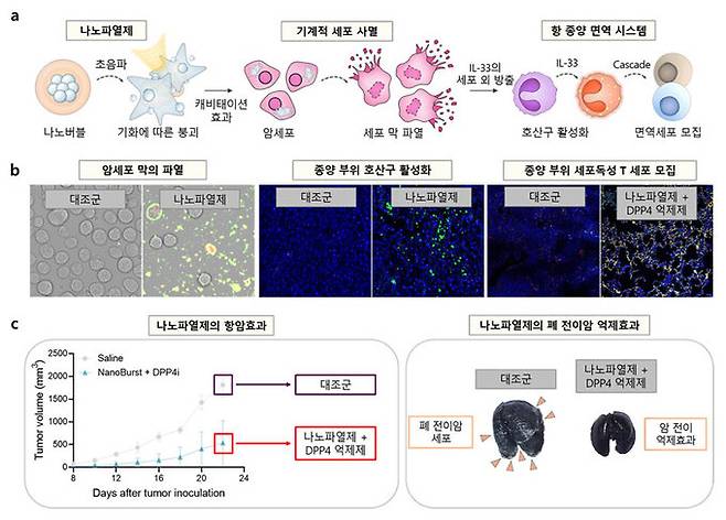 국립부경대·한국공학대·성균관대 연구팀이 개발에 성공한 나노기포를 이용한 새로운 기계적 사멸법과 이를 기반으로 한 암 치료법 모식도. 부경대 제공