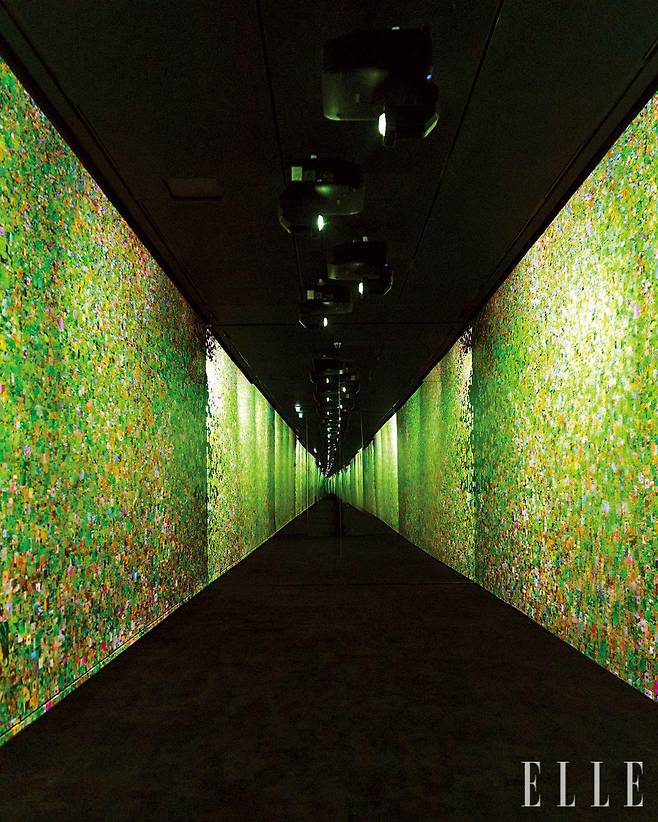 레픽 아나돌 스튜디오가 수집한 10억 개 이상의 자연 이미지, 25만 개에 달하는 새 울음 데이터 등이 쏟아지는 데이터 룸 ‘살아 있는 아카이브: LNM(Large Nature Model)’.