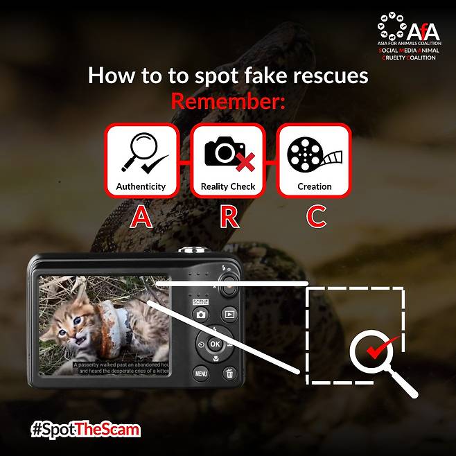 소셜미디어동물학대방지연합은 실제와 가짜 구조 영상을 판단하는 3가지 지표를 제안한다. (소셜미디어동물학대방지연합 제공) ⓒ 뉴스1